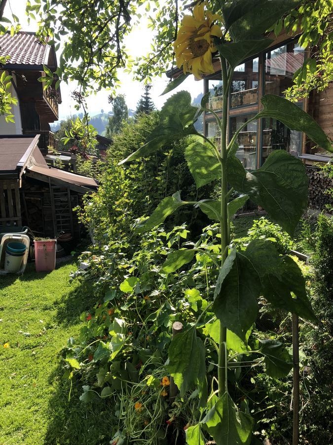 Gaestehaus Lackner Oberau Exteriér fotografie